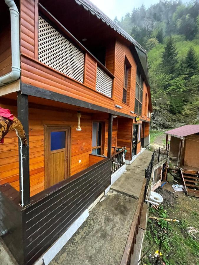 Nirvana Suite Hotel Caykara 外观 照片